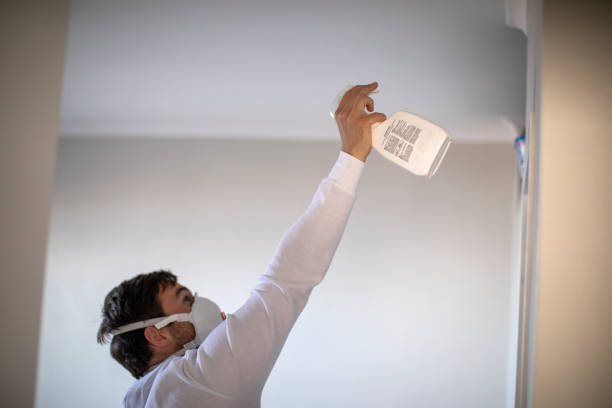 Best Attic Mold Removal  in Nottingham, PA