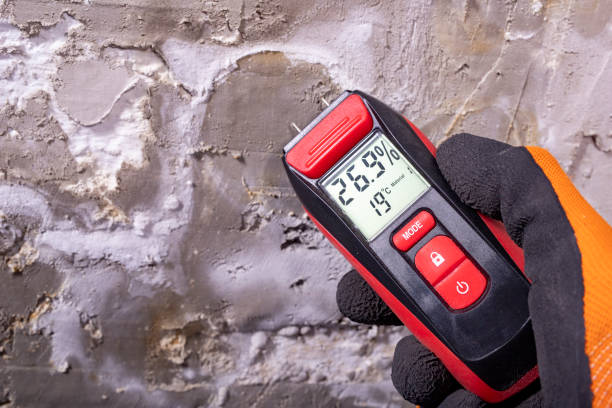 Best Mold Testing  in Nottingham, PA