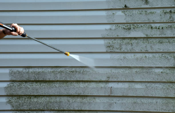 Best Toxic Mold Removal  in Nottingham, PA