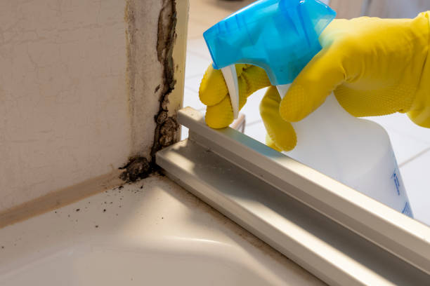 Best Crawl Space Mold Removal  in Nottingham, PA