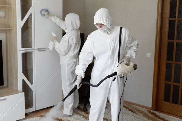 Best Residential Mold Removal  in Nottingham, PA