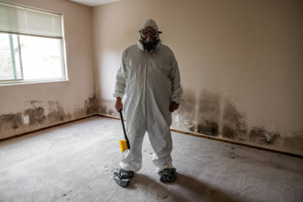 Best Office Mold Removal Services  in Nottingham, PA